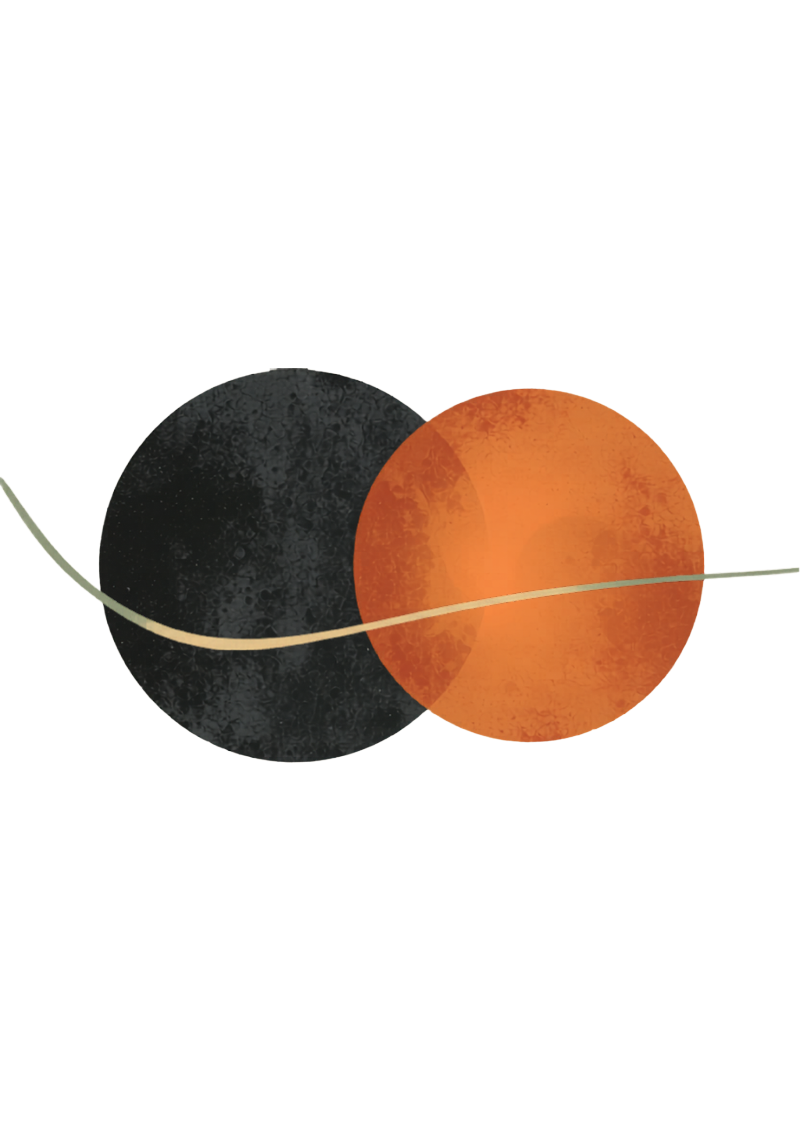 Abstract illustration of open book with knowledge paths