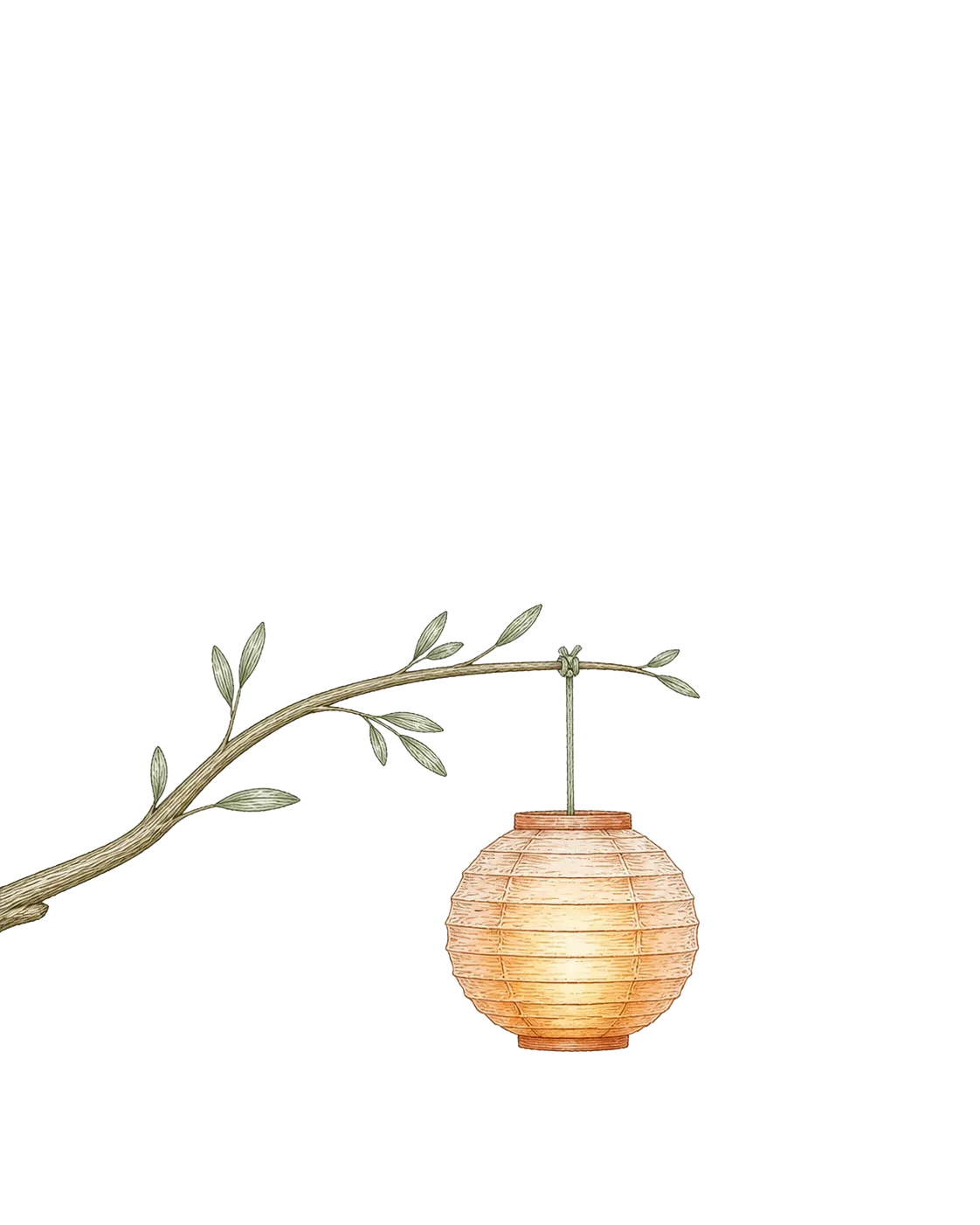 Hand-drawn lantern hanging from a leafed branch