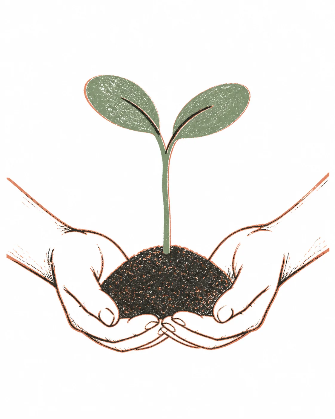 Hand-drawn illustration of a seedling held gently in two cupped hands