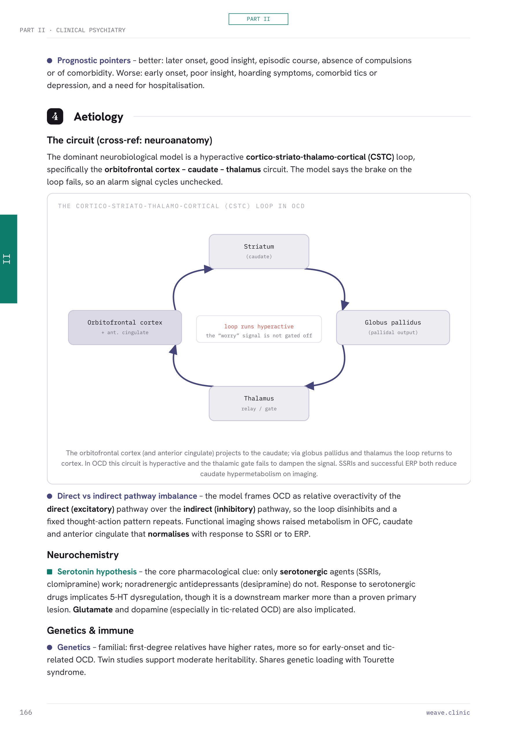 A page diagramming the cortico-striato-thalamo-cortical loop
